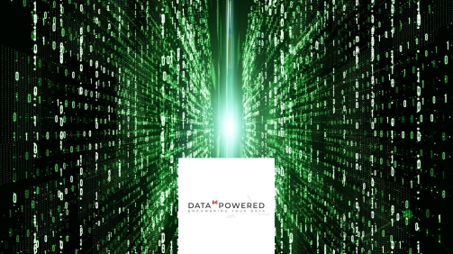 Digital Transformation Empowering Startups in Australia - Data M Powered