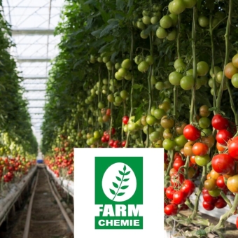 ELV and Infrastructure Farm Chemi