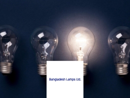 ERP Solutions for Bangladesh Lamps Limited (BLL)