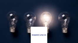 ERP Solutions for Bangladesh Lamps Limited (BLL)